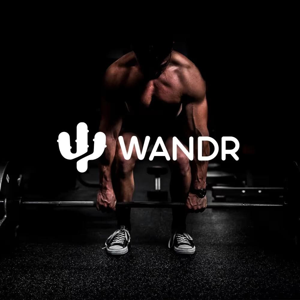 wandr 1